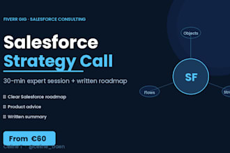 provide a salesforce strategy call and roadmap for your sme