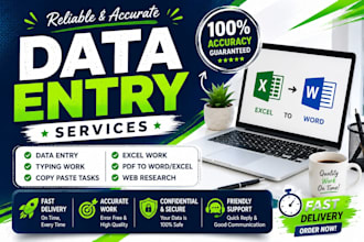 do acuurate copy paste, typing and excel work