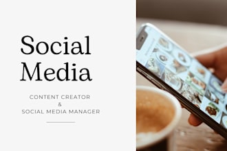 provide a professional social media strategy and management