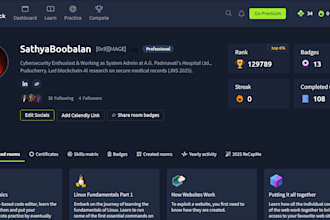 perform a professional website penetration test and vapt report