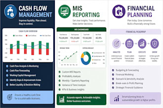 be your virtual cfo for financial clarity and mis and cashflow