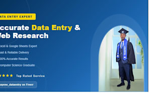 do accurate data entry and web research using excel and google sheets