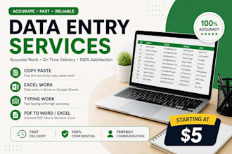 do accurate data entry, copy paste and typing work