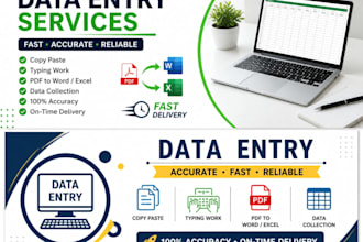 do fast data entry, copy paste ,typing work