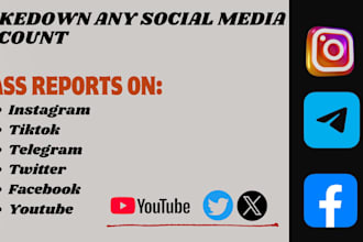 report instagram account,mass dmbot,takedown harassing post,tiktok mass reports