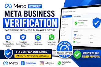 fix meta business verification, whatsapp API, domain verification, meta pixel