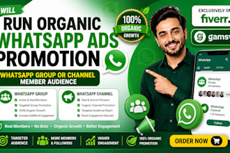 run organic whatsapp ads promotion, whatsapp group or channel member audience