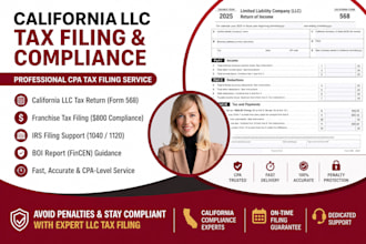 file california llc tax return, franchise tax and irs filing as CPA