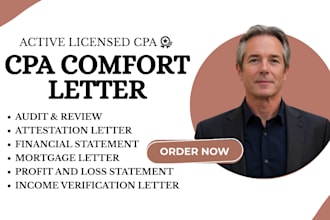 perform CPA financial audit and review, internal audit and financial analysis