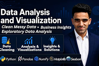 perform data analysis, visualization, and deliver insights