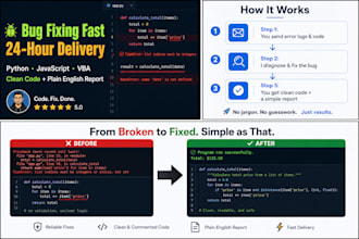 fix your python and javascript bugs in 24 hours