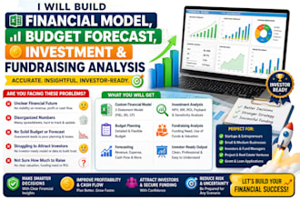 create financial model, budget forecast, investment and fundraising analysis