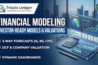 prepare financial projections, business plan and forecasts