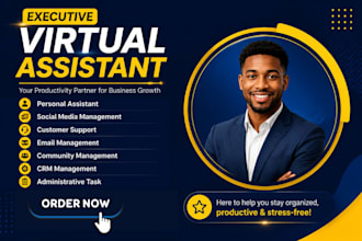 be executive virtual assistant, executive VA admin assistant executive assistant