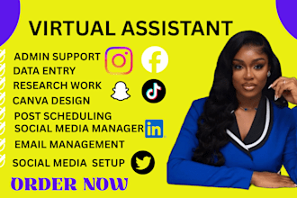 be personal assistant executive gohighlevel virtual assistant social media va