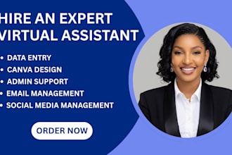 be personal assistant executive gohighlevel virtual assistant social media va
