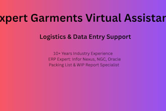 be your virtual assistant for garments logistics and data entry