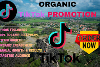 do organic growth for tiktok marketing , organic promotion for follower growth