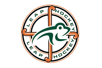 design logo for your hockey, ice hockey and other sports