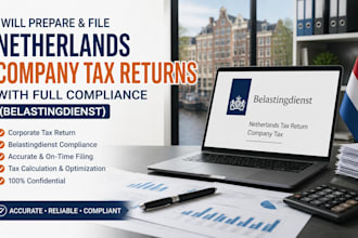 file netherlands company tax returns with full compliance belastingdienst