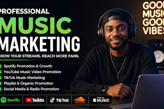 promote your song with spotify, youtube and tiktok marketing
