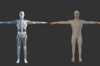 fix and rig second life mesh avatar bento skeleton rig animesh and weight paint