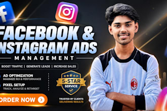 setup and run meta ads, facebook ads, instagram ads campaign, fb advertising