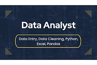 do data cleaning, data entry using python or excel