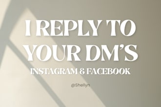 reply to your instagram and facebook messages professionally