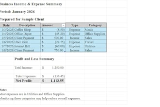 organizing your business income and expenses using excel
