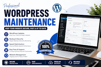 do wordpress maintenance updates security backups speed bug fix optimization web