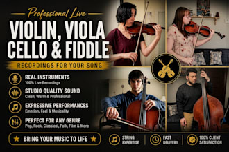 record professional violin, viola, cello, and fiddle for your song