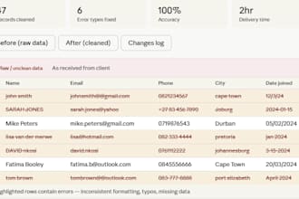 fast and accurate data entry, copy paste, excel, and google sheets tasks
