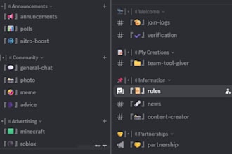 create and setup a professional discord server with bots and roles