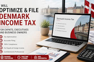optimize and file denmark income tax for expats, executives and business owners