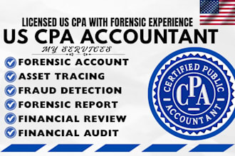 do forensic accounting, fraud detection, asset tracing, forensic audit report