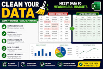 data cleaning and professional reports