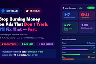 setup and manage facebook ads campaign for leads and sales