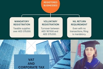 handle uae vat filing corporate tax and tax consultancy