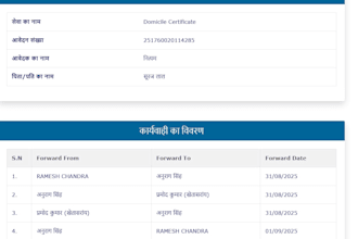 professional tally, busy and excel accounting services