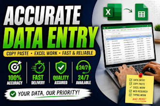 accurate data entry and excel work