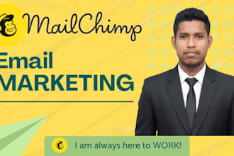 manage mailchimp email marketing campaigns professionally