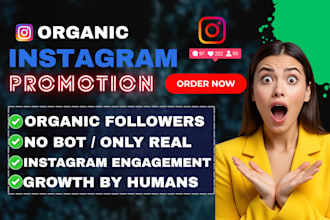do organic instagram promotion and marketing for fast growth