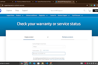 input data in exell,develop websites,IT support