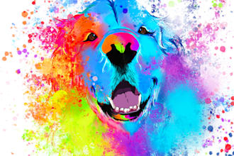 draw a colourful digital pet portrait from your photo