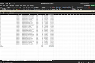 provide expert bookkeeping and financial data management