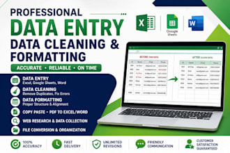 do data cleaning and formatting PDF to excel sheet