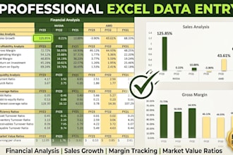 do professional data entry, excel work and financial reporting
