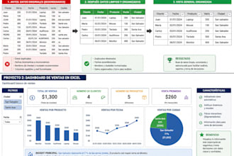 organizo y optimizo tu excel de ventas clientes en 24 horas