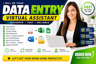 do data entry, copy paste, excel tasks and web research
